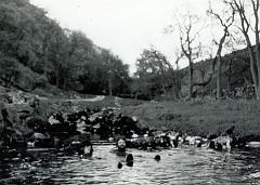 1970 UK Yorkshire Dales 082